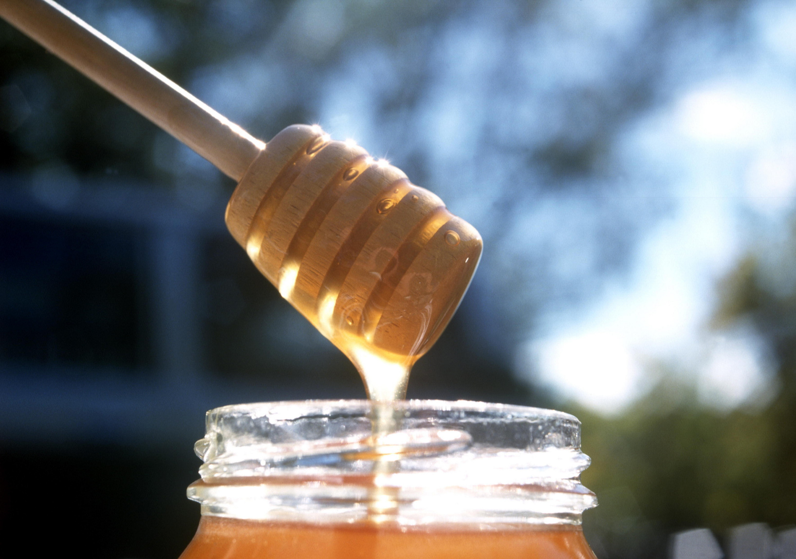 Australian Honey